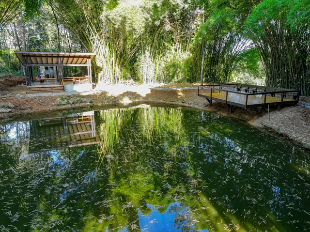 Lago y áreas comunes del proyecto